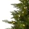 9ft. Pre-Lit Vermont Spruce Artificial Christmas Tree, Warm White LED Lights